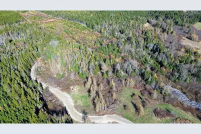 Lot 4 Holmes Bay Farm, Whiting, ME 04691 - Photo 7