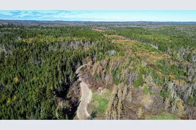 Lot 5 Holmes Bay Farm, Whiting, ME 04691 - Photo 11