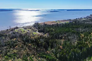 Lot 6 Holmes Bay Farm, Whiting, ME 04691 - Photo 1