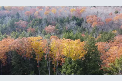 Lot 2 Darci Lane, Montville, ME 04941 - Photo 9