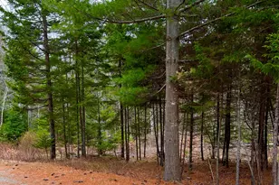 100 Bass Harbor Rd, Southwest Harbor, ME 04679 - Photo 47