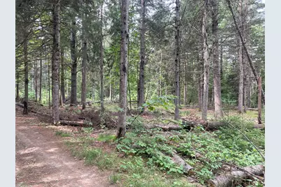 # North Road, Harmony, ME 04942 - Photo 11