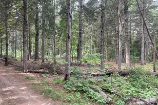 # North Rd, Harmony, ME 04942 - Photo 11