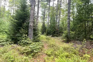 # North Rd, Harmony, ME 04942 - Photo 17