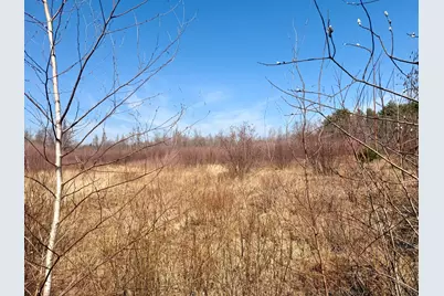 Lot 56 Bailey Road, Knox, ME 04986 - Photo 5