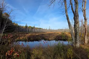 12 Maple Grove Rd, Lee, ME 04455 - Photo 39