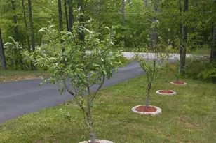 1618 Acton Ridge Rd, Acton, ME 04001 - Photo 31