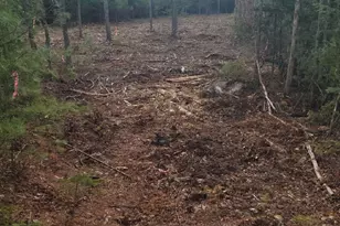 Lot 3 00 Stonewall Dr, Orrington, ME 04474 - Photo 1