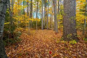 159 Brook Rd, Falmouth, ME 04105 - Photo 51