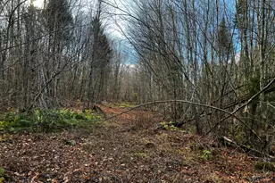 394 Fire Rd, Linneus, ME 04730 - Photo 9