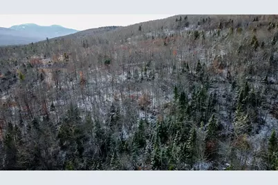 Lot 1 & 2 Thistle Street, Upton, ME 04261 - Photo 5