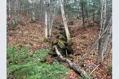 Lot 1 & 2 Thistle Street, Upton, ME 04261 - Photo 1