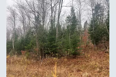 Lot 1 & 2 Thistle Street, Upton, ME 04261 - Photo 3