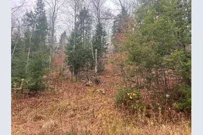 Lot 1 & 2 Thistle Street, Upton, ME 04261 - Photo 11