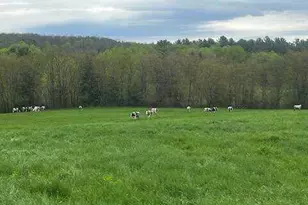 414 Farmington Falls Rd, Farmington, ME 04938 - Photo 13