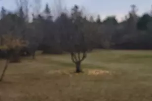 130 Shipyard Rd, Dennysville, ME 04628 - Photo 33