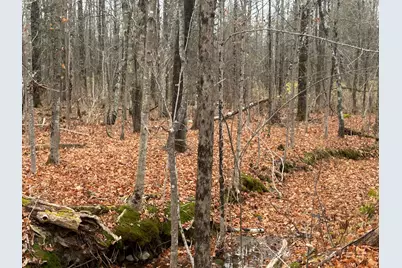 M10 L 7A Higgins Road, Pittsfield, ME 04922 - Photo 3