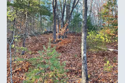 29C Shepherd River Road, Brownfield, ME 04010 - Photo 5