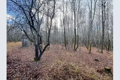 Tbd Lowell Road, Carroll Plt, ME 04487 - Photo 15