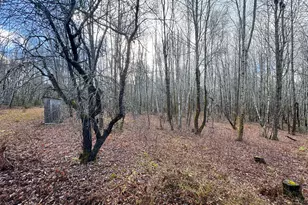 Tbd Lowell Rd, Carroll Plt, ME 04487 - Photo 15