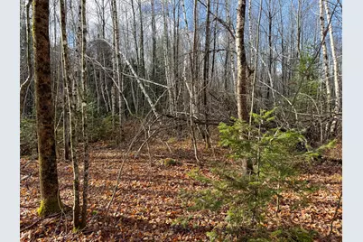 Tbd Lowell Road, Carroll Plt, ME 04487 - Photo 19