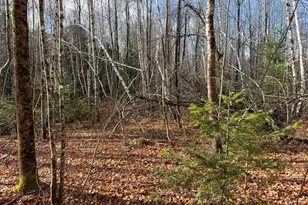 Tbd Lowell Rd, Carroll Plt, ME 04487 - Photo 19