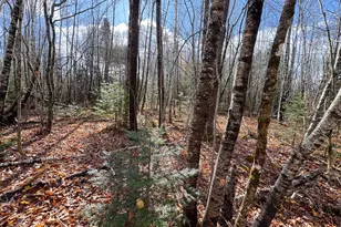 Tbd Lowell Rd, Carroll Plt, ME 04487 - Photo 21