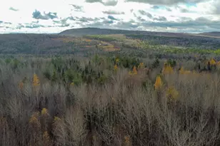 Tbd Lowell Rd, Carroll Plt, ME 04487 - Photo 29