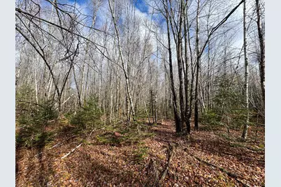 Tbd Lowell Road, Carroll Plt, ME 04487 - Photo 23