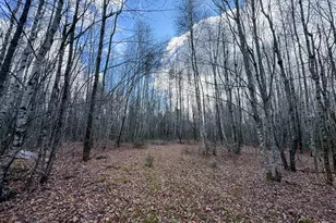 Tbd Lowell Rd, Carroll Plt, ME 04487 - Photo 17