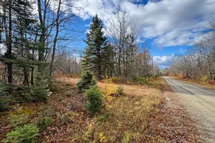 Tbd Lowell Rd, Carroll Plt, ME 04487 - Photo 13