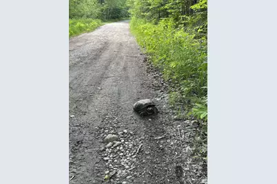 180 Lambert Road, Skowhegan, ME 04976 - Photo 35