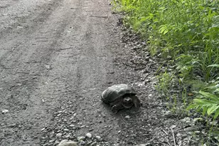 180 Lambert Rd, Skowhegan, ME 04976 - Photo 35