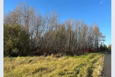 0 Albair Road, Caribou, ME 04736 - Photo 3