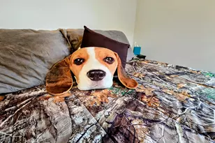 83 Phelan St, Sabattus, ME 04280 - Photo 59