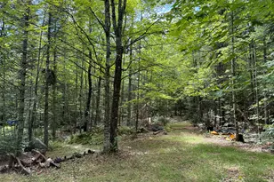 267 Guilford Rd, Cambridge, ME 04923 - Photo 45