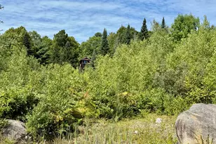 267 Guilford Rd, Cambridge, ME 04923 - Photo 47