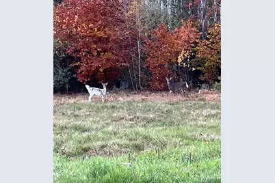 32 Dillon Road, Harrison, ME 04040 - Photo 65