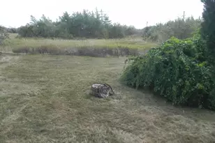 260 County Rd, Lubec, ME 04652 - Photo 11