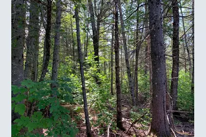 296 Georges Pond Road, Franklin, ME 04634 - Photo 3