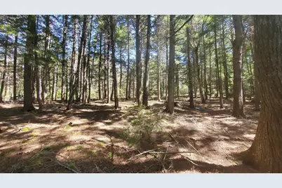 307 Lakeville Shores Road, Lakeville, ME 04487 - Photo 13