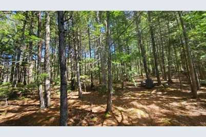 307 Lakeville Shores Road, Lakeville, ME 04487 - Photo 17