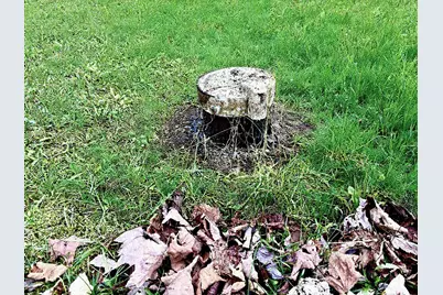 310 Sebec Shore Road, Guilford, ME 04443 - Photo 45