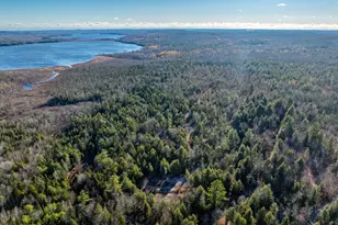 1237 Ayers Junction Rd, Charlotte, ME 04666 - Photo 21