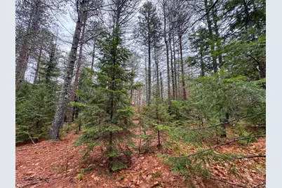 43 Fleming Road, Bethel, ME 04217 - Photo 43