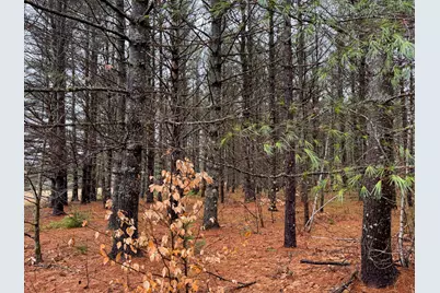 43 Fleming Road, Bethel, ME 04217 - Photo 45