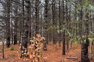 43 Fleming Rd, Bethel, ME 04217 - Photo 45