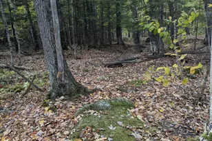 197 Ferry Rd, Lewiston, ME 04240 - Photo 61