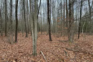 180 Highland Cliff Rd, Windham, ME 04062 - Photo 95