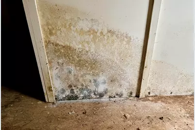 38 Indian Point Road, Bar Harbor, ME 04609 - Photo 49